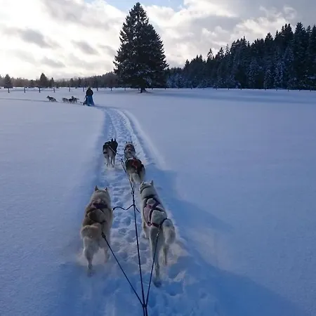 Vent_du_nord Appartement Tramelan